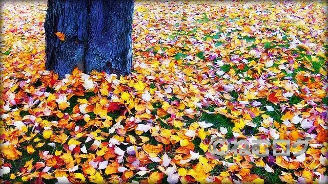 年末に向けてやり残したことはない？今年の振り返りと来年の目標設定のコツ