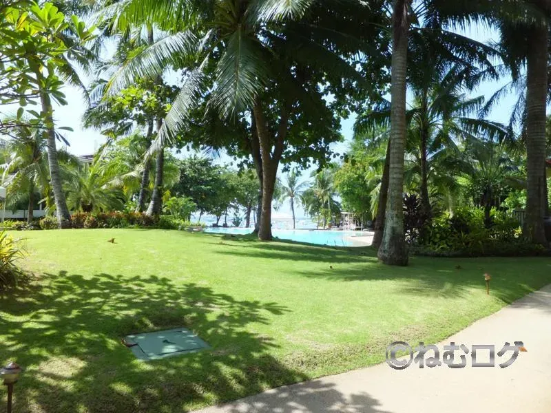 留学12日目：ナルスワン島へGo！