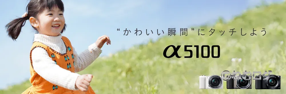 SONY α5100 ILCE-5100