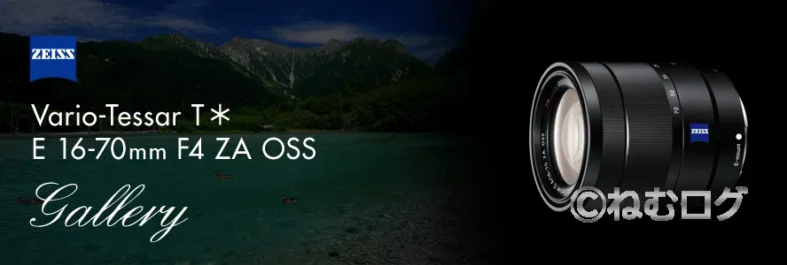 SONY SEL1670Z Vario-Tessar T*E 16-70mm F4 ZA OSS