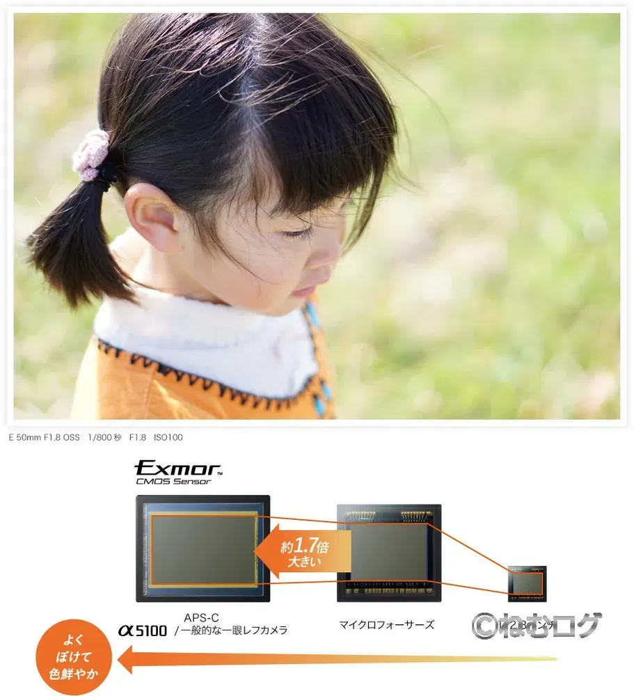 a5100_センサー