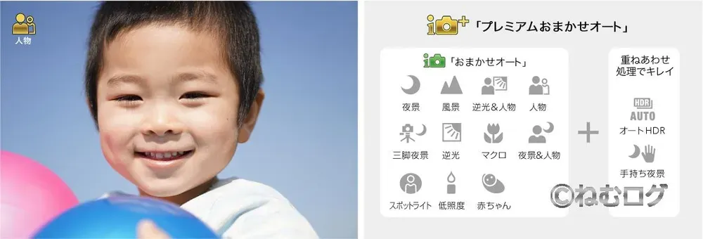 a5100_プレミアムオート撮影