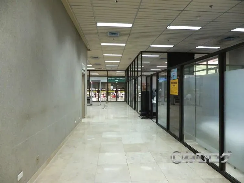 留学29日目：帰国日…のはずだったのに？